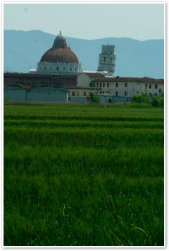 Pisa