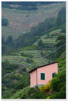 Cinque Terre
