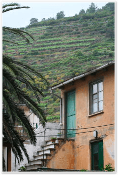 Cinque Terre