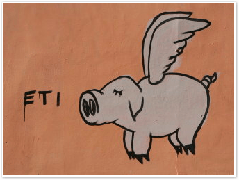 pig graffiti