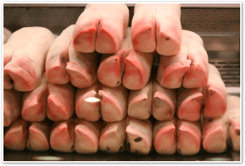 pigs feet