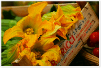 Zucchini Blossom