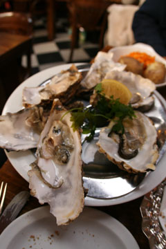 oysters